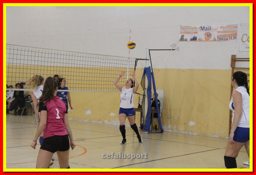 140305 Primula 147_tn.jpg